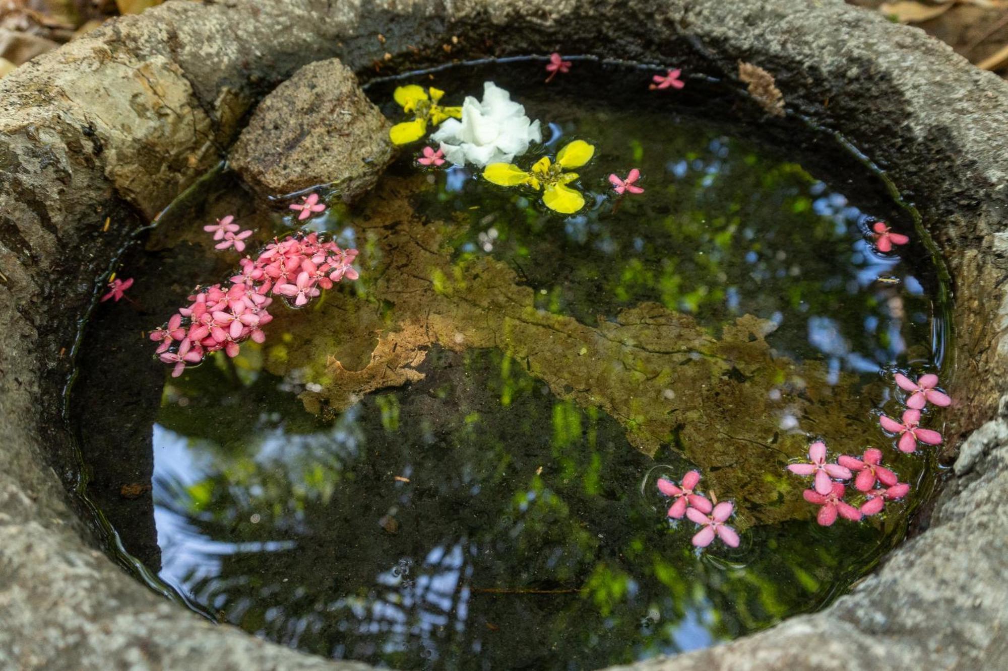 Hostal Delmy Suchitoto 外观 照片